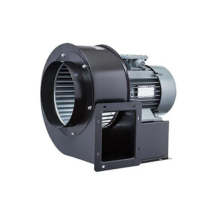 Salyangoz Fan (türk)